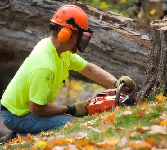 tree services Grand Blanc